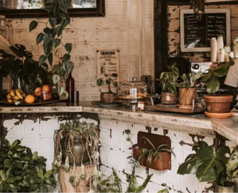 Crasemper Auctor Neque Witaetempus post img 2 optimized