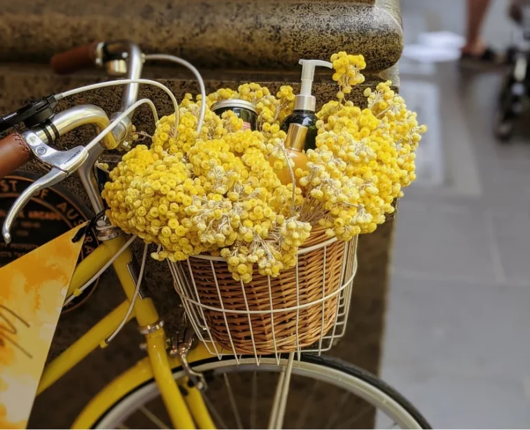 Cras Semper Auctor Neque Vitae post img 6 optimized