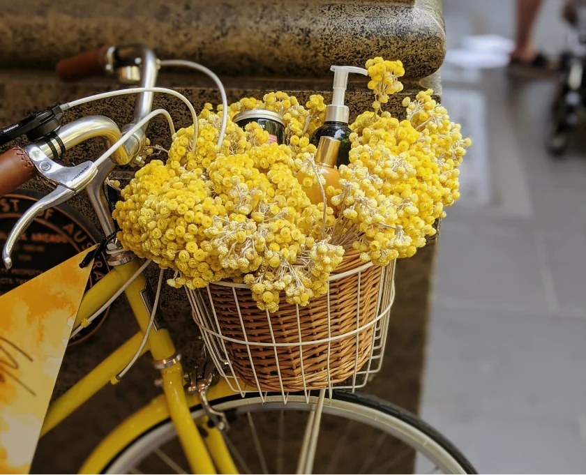 Cras Semper Auctor Neque Vitae post img 6 optimized